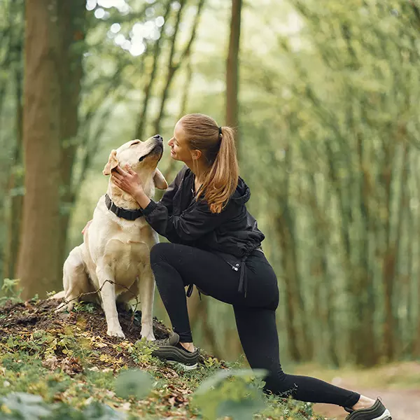 holiday-with-dog